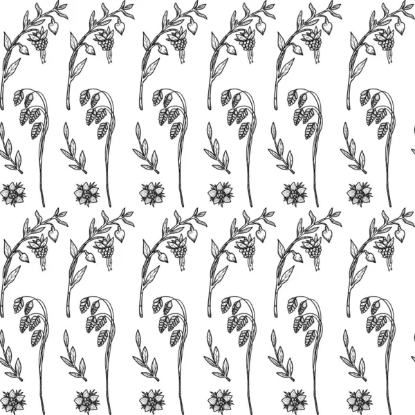 Patrones Florales Sin Costura Elementos Naturales Arte Línea Decorativa Dibujada —  Fotos de Stock