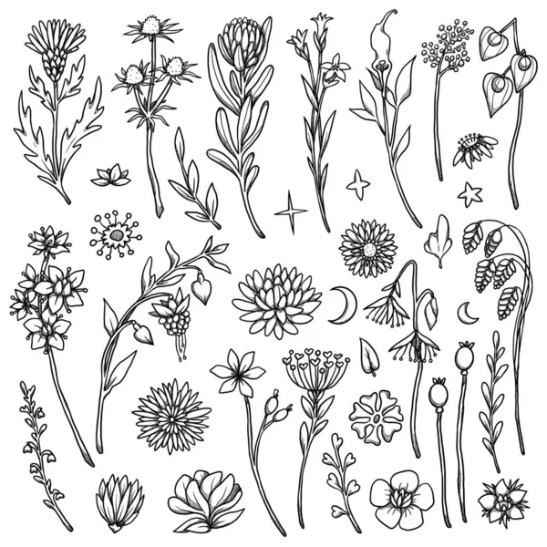 Dekorative Blumenillustrationen Boho Und Vintage Kollektion Buntes Set Vorhanden Handgezeichnete — Stockfoto