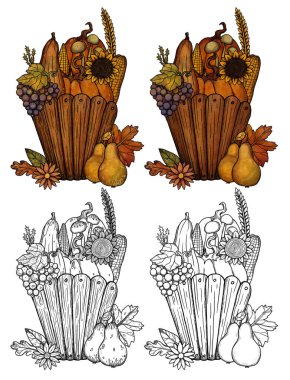 Dekoratif sonbahar kompozisyonları. Hasatın olduğu el yapımı bir sepet. Renkli, altın rengi ve saf sanat versiyonları. Boho ve vintage koleksiyonu. Sonbahar alışverişi. Dekoratif bir doğa. Beyazda izole edilmiş