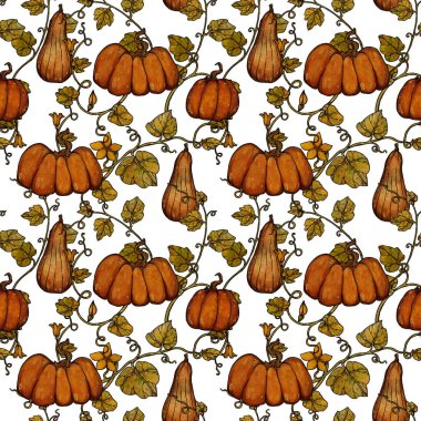 Dekoratif sonbahar desenleri. El yapımı balkabakları. Boho ve vintage koleksiyonu. Sonbahar alışverişi. Dekoratif bir doğa. Beyazda izole edilmiş