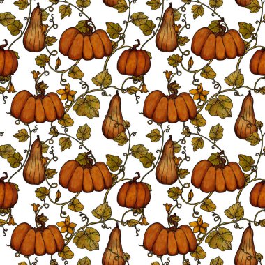 Dekoratif sonbahar desenleri. El yapımı balkabakları. Boho ve vintage koleksiyonu. Sonbahar alışverişi. Dekoratif bir doğa. Beyazda izole edilmiş. Renkli