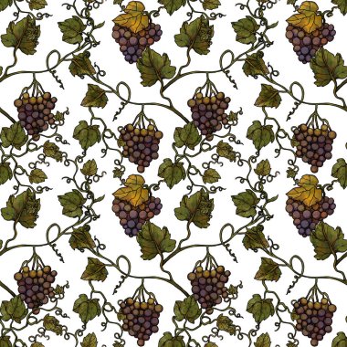 Dekoratif sonbahar desenleri. El yapımı üzümler. Boho ve vintage koleksiyonu. Sonbahar alışverişi. Dekoratif bir doğa. Beyazda izole edilmiş. Renkli