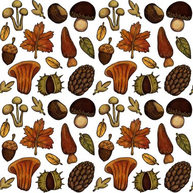 Dekoratif sonbahar desenleri. El yapımı hasat. Boho ve vintage koleksiyonu. Sonbahar alışverişi. Dekoratif bir doğa. Beyazda izole edilmiş. Renk ve altın