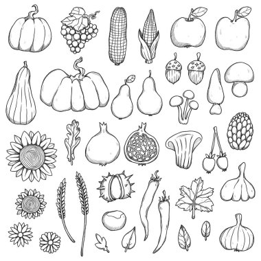 Dekoratif sonbahar yemekleri seti. El yapımı hasat illüstrasyonu. Konforlu boho ve klasik koleksiyonu. Alışverişe git. Dekoratif bir doğa. Beyazda izole edilmiş. Satır sanatı