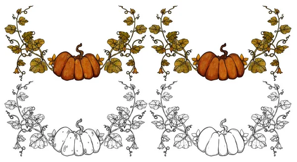 Zestaw Dekoracyjnych Jesiennych Kompozycji Ręcznie Rysowane Dynie Wersje Kolorowe Złote — Zdjęcie stockowe