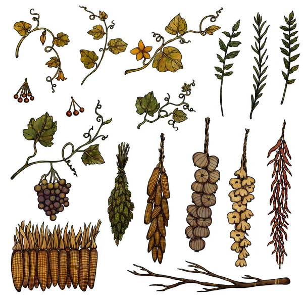 Dekorative Elemente Für Die Herbsternte Vorbereitungen Für Den Winter Boho — Stockfoto