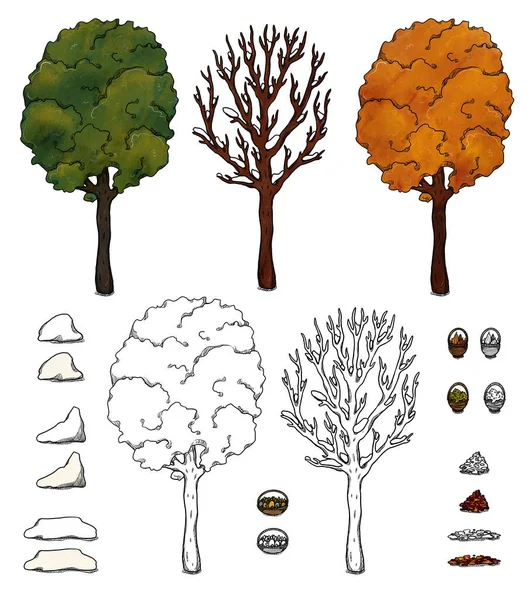 Yapımı Meşe Ağacı Renkli Orman Manzarası Elementleri Çizgi Boyama Dört — Stok fotoğraf