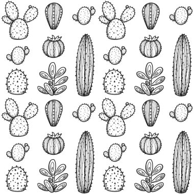 Evin bitkileri pürüzsüz. El yapımı sanat eseri, doğal elementler. Kaktüs ve sulu. Boho ve vintage koleksiyonu. Çiçek titreşimleri. Beyazda izole edilmiş.