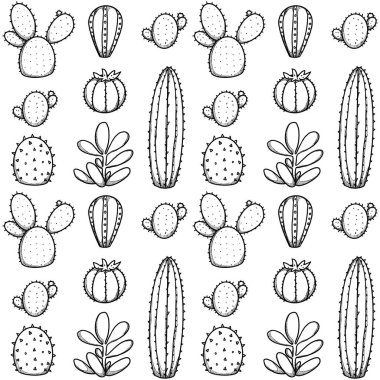 Evin bitkileri pürüzsüz. El yapımı sanat eseri, doğal elementler. Kaktüs ve sulu. Boho ve vintage koleksiyonu. Çiçek titreşimleri. Beyazda izole edilmiş.