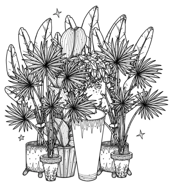 ボホ家の植物のイラスト 手描きのストレリッツィア ピロデンドロン ファンパーム 線画だ 花の組成 ヴィンテージ要素 ウィカンと異教の芸術 装飾的な性質 白に隔離された — ストック写真
