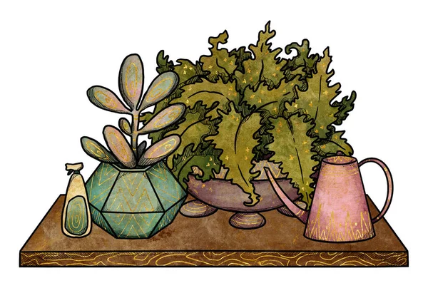 Boho Casa Piante Illustrazione Cactus Felci Disegnati Mano Colore Oro — Foto Stock
