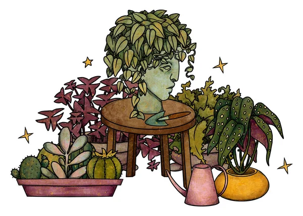 Boho Maison Plantes Illustration Bégonia Cactus Oxalis Philodendron Dessinés Main — Photo