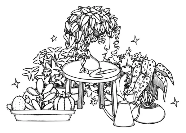 Ilustración Plantas Casa Boho Begonia Dibujada Mano Cactus Oxalis Philodendron — Foto de Stock