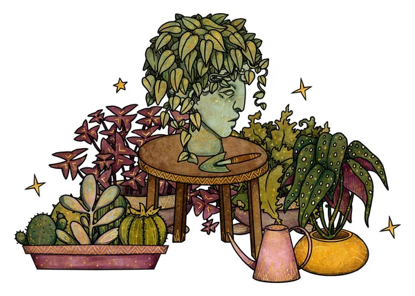 Ilustracja Roślin Boho House Ręcznie Narysowana Begonia Kaktusy Szczawiki Filodendron — Zdjęcie stockowe