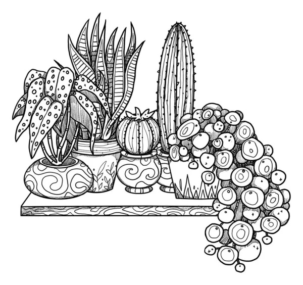 Boho house plants illustration. Hand-drawn cacti, money plant, begonia, and snake plant. Line art. Floral composition. Vintage element. Wiccan and pagan art. Decorative nature. Isolated on white