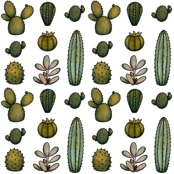 Plantas Casa Patrón Sin Costuras Elementos Naturales Dibujados Mano Cactus — Foto de Stock