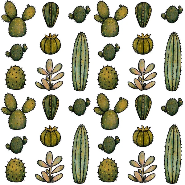 House Plants Seamless Pattern Hand Drawn Colored Natural Elements Cacti — Stock Photo, Image