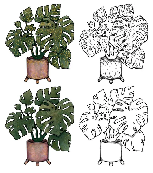Boho Σπίτι Φυτά Απεικόνιση Χειροποίητο Έγχρωμο Τερατούργημα Σύνθεση Λουλουδιού Παλιό — Φωτογραφία Αρχείου