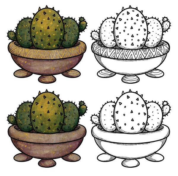 Boho Maison Plantes Illustration Cactus Art Colorés Lignes Dessinés Main — Photo