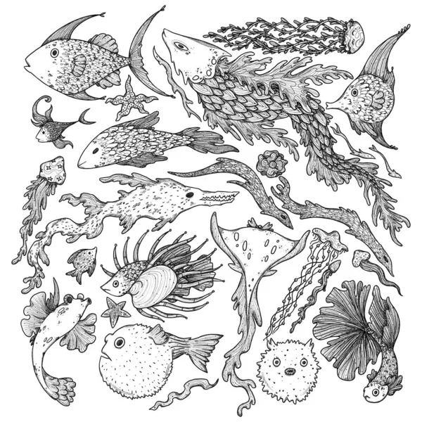 Strano Set Subacqueo Illustrazione Insolita Dei Pesci Disegnata Mano Composizione — Foto Stock