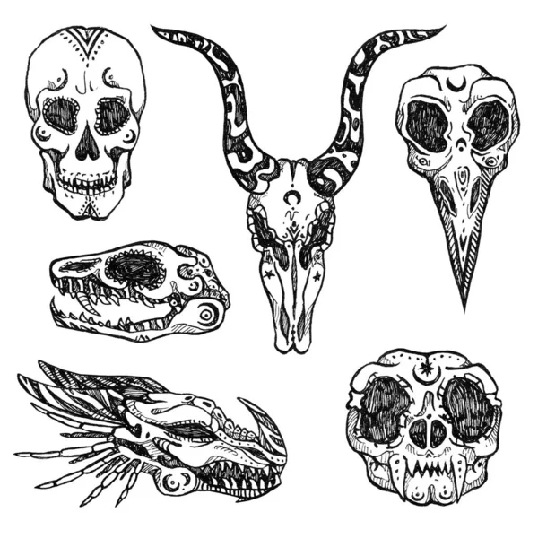 Halloween Set Ink Skulls Human Dragon Cat Snake Goat Raven — Stock Photo, Image