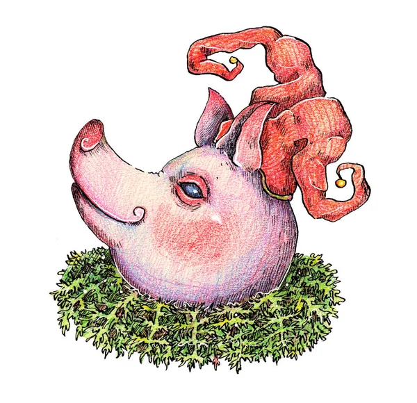 Inchiostro Disegnato Mano Matite Colorate Illustrazione Maiale Fata Animale Creatura — Foto Stock