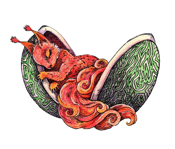 Ręcznie Rysowany Tusz Kolorowe Ołówki Ilustracja Wiewiórki Bajkowe Zwierzę Magiczne — Zdjęcie stockowe