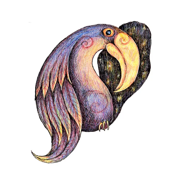 Ręcznie Rysowany Tusz Kolorowe Ołówki Ilustracja Tukan Bajkowe Zwierzę Magiczne — Zdjęcie stockowe