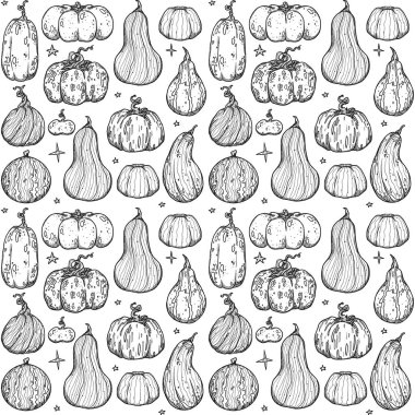 Dekoratif sonbahar desenleri. El yapımı balkabağı ve bitkiler. Orman titreşimleri. Boho ve vintage koleksiyonu. Sonbahar alışverişi. Dekoratif bir doğa. Beyazda izole edilmiş. Satır sanatı