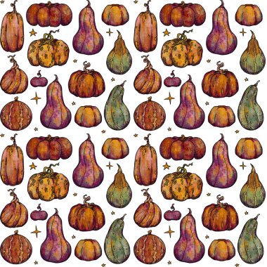 Dekoratif sonbahar desenleri. El yapımı balkabağı ve bitkiler. Orman titreşimleri. Boho ve vintage koleksiyonu. Renkli sonbahar bakkalı. Dekoratif bir doğa. Beyazda izole edilmiş