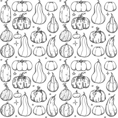 Dekoratif sonbahar desenleri. El yapımı balkabağı ve bitkiler. Orman titreşimleri. Boho ve vintage koleksiyonu. Sonbahar alışverişi. Dekoratif bir doğa. Beyazda izole edilmiş. Satır sanatı