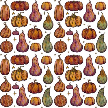 Dekoratif sonbahar desenleri. El yapımı balkabağı ve bitkiler. Orman titreşimleri. Boho ve vintage koleksiyonu. Sonbahar alışverişi. Dekoratif bir doğa. Beyazda izole edilmiş. Renk ve altın