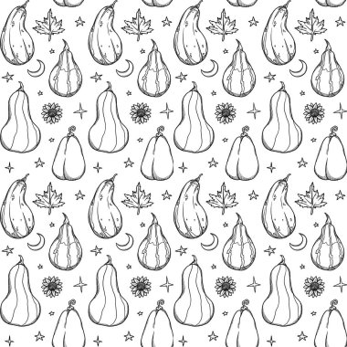 Dekoratif sonbahar desenleri. El yapımı balkabağı ve bitkiler. Orman titreşimleri. Boho ve vintage koleksiyonu. Sonbahar alışverişi. Dekoratif bir doğa. Beyazda izole edilmiş. Satır sanatı