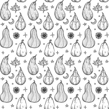 Dekoratif sonbahar desenleri. El yapımı balkabağı ve bitkiler. Orman titreşimleri. Boho ve vintage koleksiyonu. Sonbahar alışverişi. Dekoratif bir doğa. Beyazda izole edilmiş. Satır sanatı