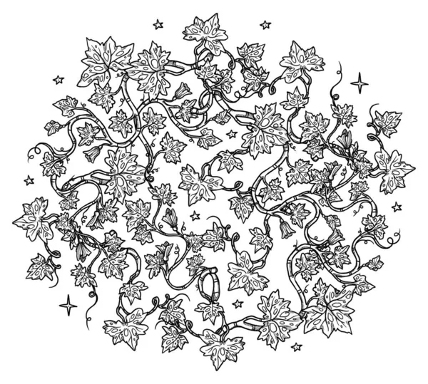 Set Van Decoratieve Pompoenen Composities Met Hand Getekende Herfst Oogst — Stockfoto