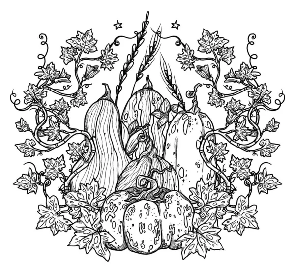 Zestaw Dekoracyjnych Dyń Kompozycji Ręcznie Rysowane Jesienne Żniwa Kolekcja Boho — Zdjęcie stockowe