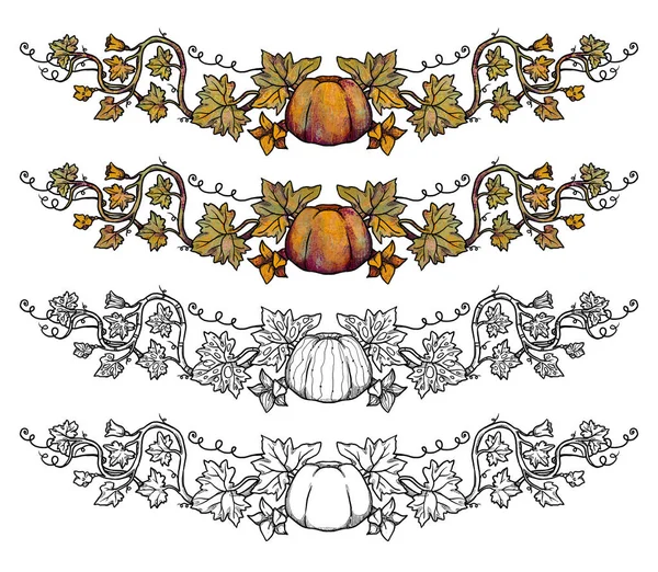 Set Cornici Autunnali Decorative Ghirlanda Disegnata Mano Olive Raccolto Colore — Foto Stock
