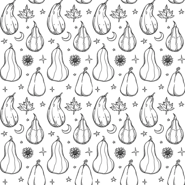 Dekoratif sonbahar desenleri. El yapımı balkabağı ve bitkiler. Orman titreşimleri. Boho ve vintage koleksiyonu. Sonbahar alışverişi. Dekoratif bir doğa. Beyazda izole edilmiş. Satır sanatı