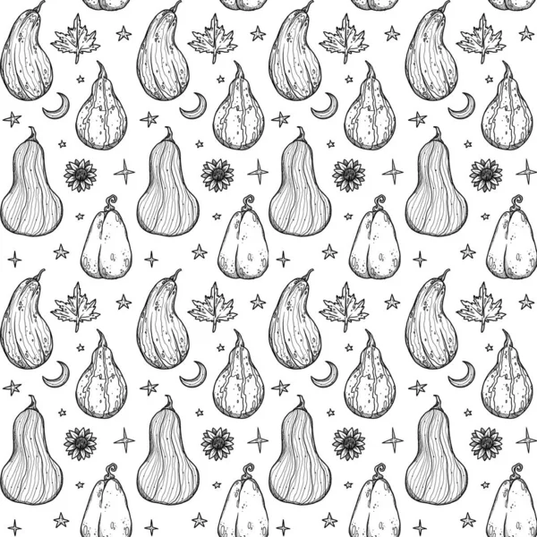 Dekoratif sonbahar desenleri. El yapımı balkabağı ve bitkiler. Orman titreşimleri. Boho ve vintage koleksiyonu. Sonbahar alışverişi. Dekoratif bir doğa. Beyazda izole edilmiş. Satır sanatı