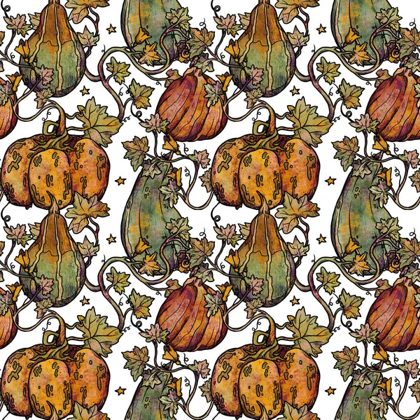 Padrões Decorativos Outono Abóboras Plantas Desenhadas Mão Vibrações Florestais Boho — Fotografia de Stock