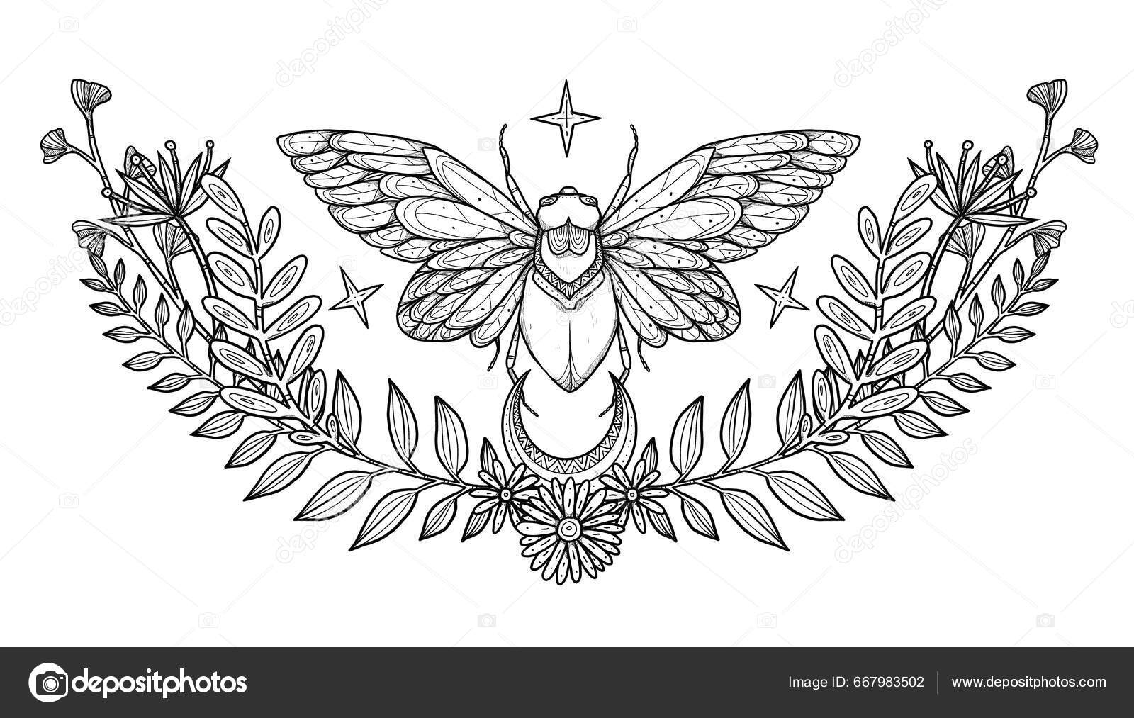 Boho Insect Illustration Hand Drawn Line Art Cicada Floral Composition