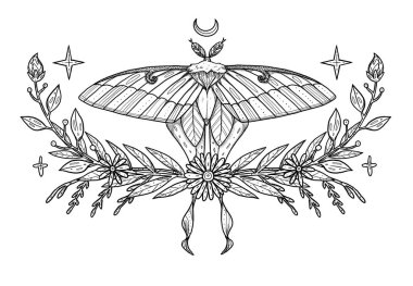 Boho Böcek Çizimi. Elle çizilmiş kelebek. Çizgi sanat güvesi. Çiçek kompozisyonu. Vintage elementi. Wiccan ve pagan sanatı. Dekoratif bir doğa. Beyazda izole edilmiş