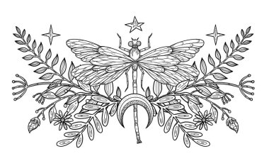 Boho Böcek Çizimi. El yapımı çizgili yusufçuk. Çiçek kompozisyonu. Vintage elementi. Wiccan ve pagan sanatı. Dekoratif bir doğa. Beyazda izole edilmiş