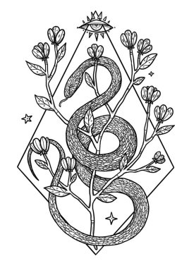 El çizimi boho yılan çizimi. Dekoratif çizim. Siyah ve beyaz. Çiçek kompozisyonu. Vintage elementi. Wiccan ve pagan sanatı. Dekoratif bir doğa. Beyazda izole edilmiş