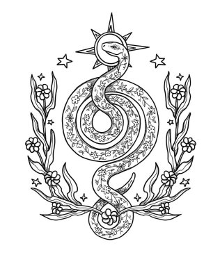 El çizimi boho yılan çizimi. Dekoratif çizim. Siyah ve beyaz. Çiçek kompozisyonu. Vintage elementi. Wiccan ve pagan sanatı. Dekoratif bir doğa. Beyazda izole edilmiş