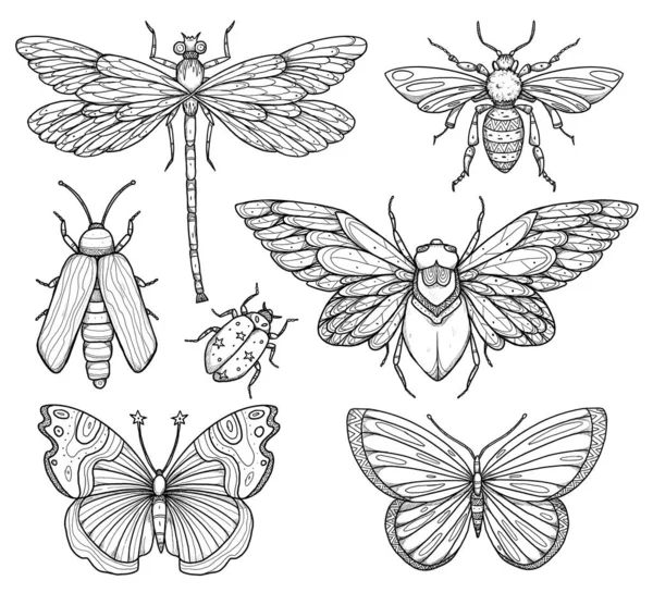 Zestaw Ilustracji Owadów Kolekcja Boho Vintage Chrząszcz Robak Ważka Motyl — Zdjęcie stockowe