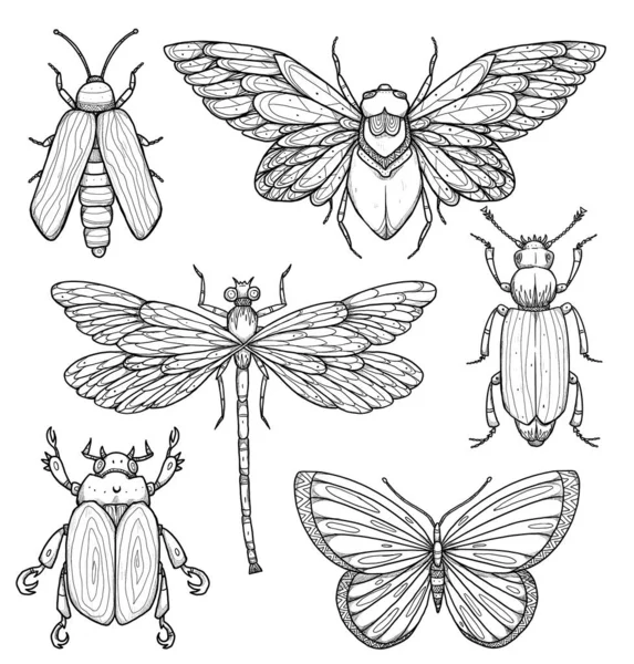 Conjunto Ilustraciones Insectos Colección Boho Vintage Escarabajo Insecto Libélula Mariposa — Foto de Stock