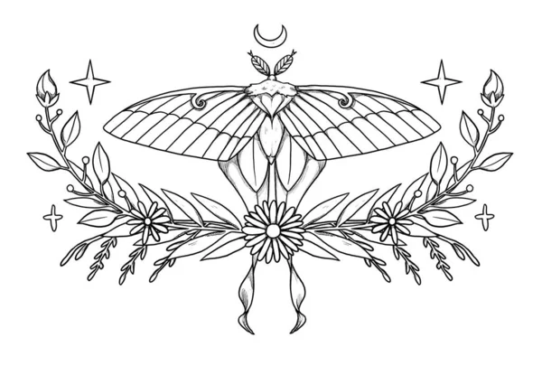 Boho Hmyzí Ilustrace Ručně Kreslený Motýl Liniová Můra Květinové Složení — Stock fotografie