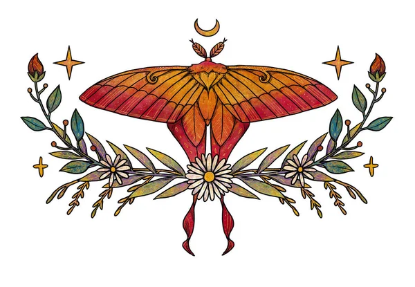 Boho Böcek Çizimi Elle Çizilmiş Kelebek Renkli Güve Çiçek Kompozisyonu — Stok fotoğraf