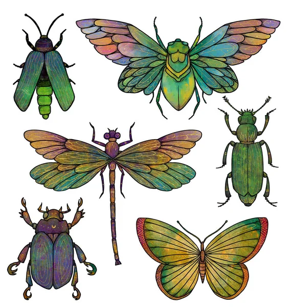 Insectenillustraties Boho Vintage Collectie Bijen Libellen Vlinders Vuurvliegjes Lieveheersbeestjes Cicaden — Stockfoto